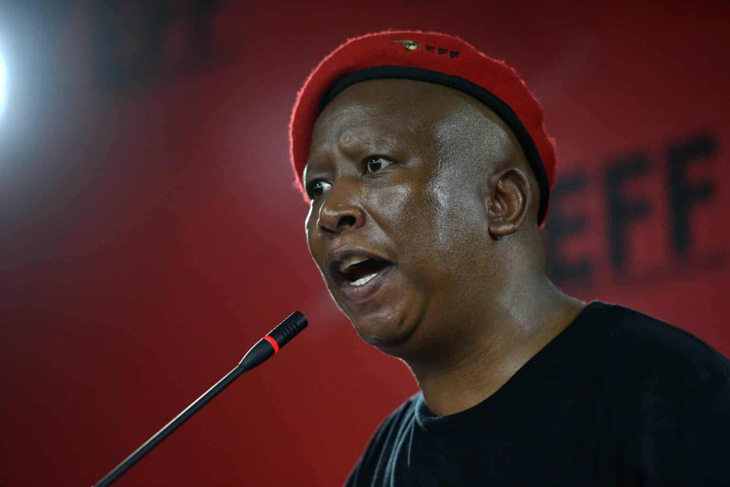 Malema