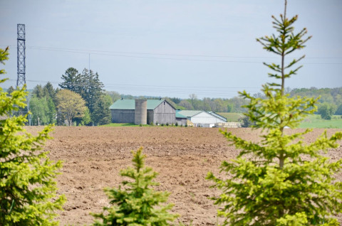 Contralesa expresses support for Land Act